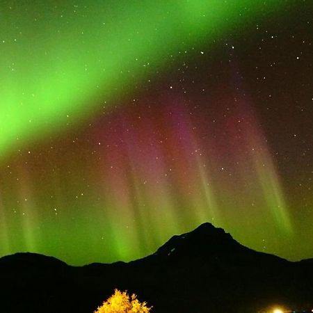 GratangenNorwegian Dreamアパートメント エクステリア 写真