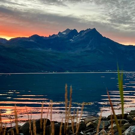 GratangenNorwegian Dreamアパートメント エクステリア 写真