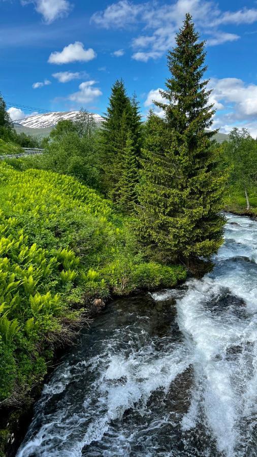 GratangenNorwegian Dreamアパートメント エクステリア 写真
