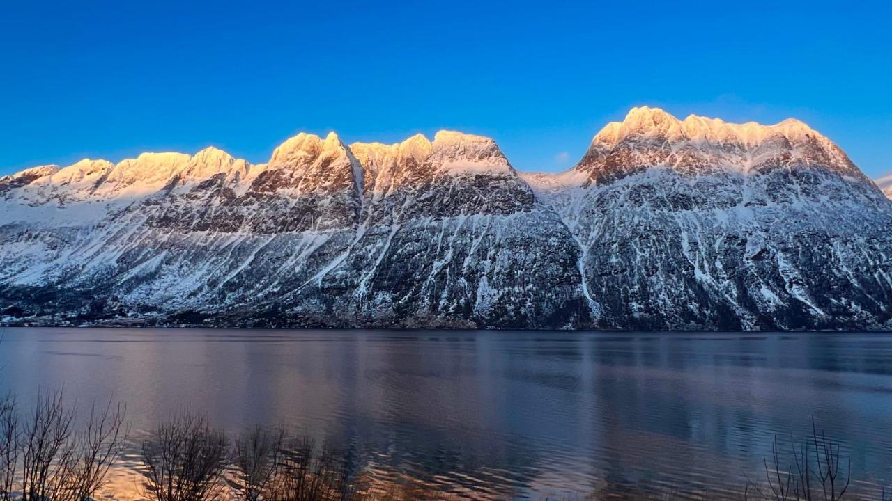 GratangenNorwegian Dreamアパートメント エクステリア 写真