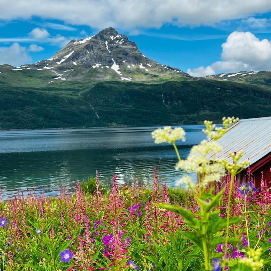 GratangenNorwegian Dreamアパートメント エクステリア 写真