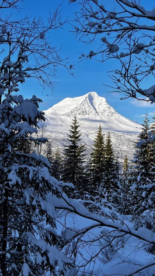 GratangenNorwegian Dreamアパートメント エクステリア 写真